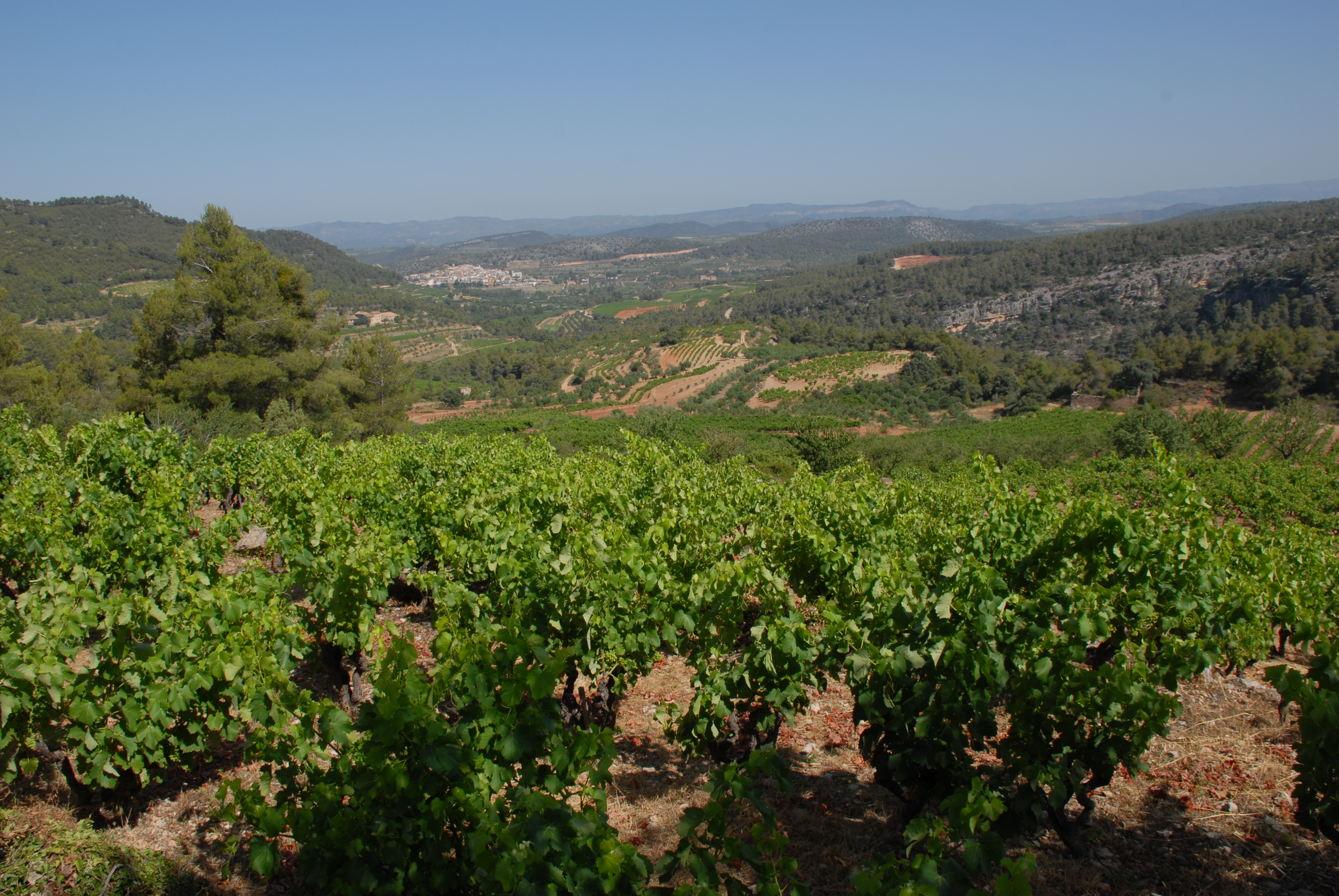 Ordenació del territori